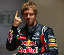 Sebastian Vettel celebrates pole position in his familiar style