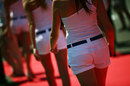 Grid girls make their way to the track