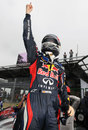 Sebastian Vettel celebrates his third world title