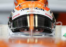 Adrian Sutil in the cockpit of the Force India