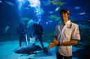 Esteban Gutierrez at Melbourne Aquarium