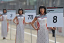 Grid girls line up for a support race