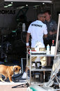 Lewis Hamilton gives his dog Roscoe a tour of the Mercedes garage