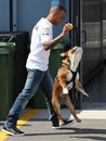 Lewis Hamilton plays ball with his dog Roscoe