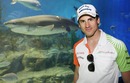 Adrian Sutil prepares to swim with sharks in the Melbourne Aquarium