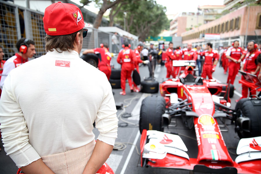 Fernando Alonso surveys the scene on the grid ahead of the race