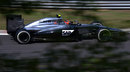 A shot of Kevin Magnussen through the trees on Friday