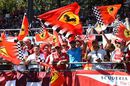 Ferrari fans wave flags