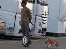 Lewis Hamilton on a hoverboard with his dog Roscoe