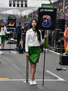 A grid girl poses ahead of the race