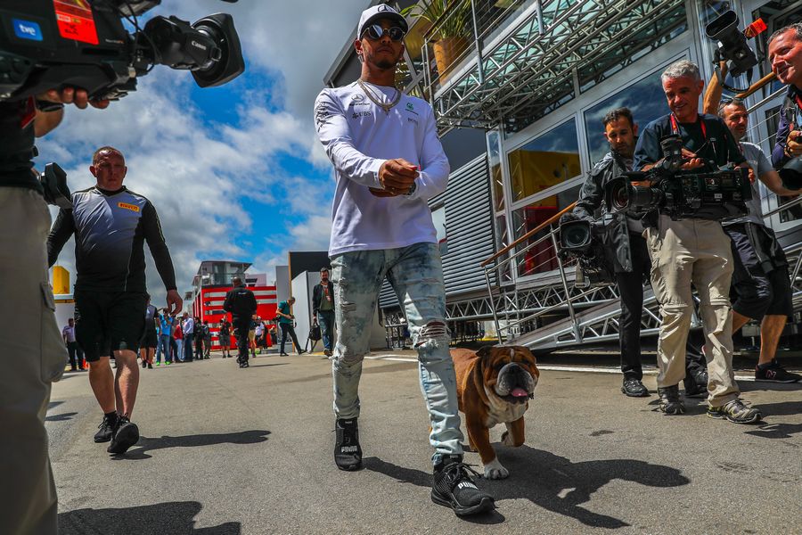 Lewis Hamilton walks the paddock with his dog Roscoe