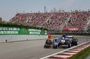 Pascal Wehrlein on track in the Sauber