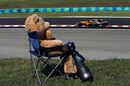 Nico Hulkenberg in the Renault and Teddy bear