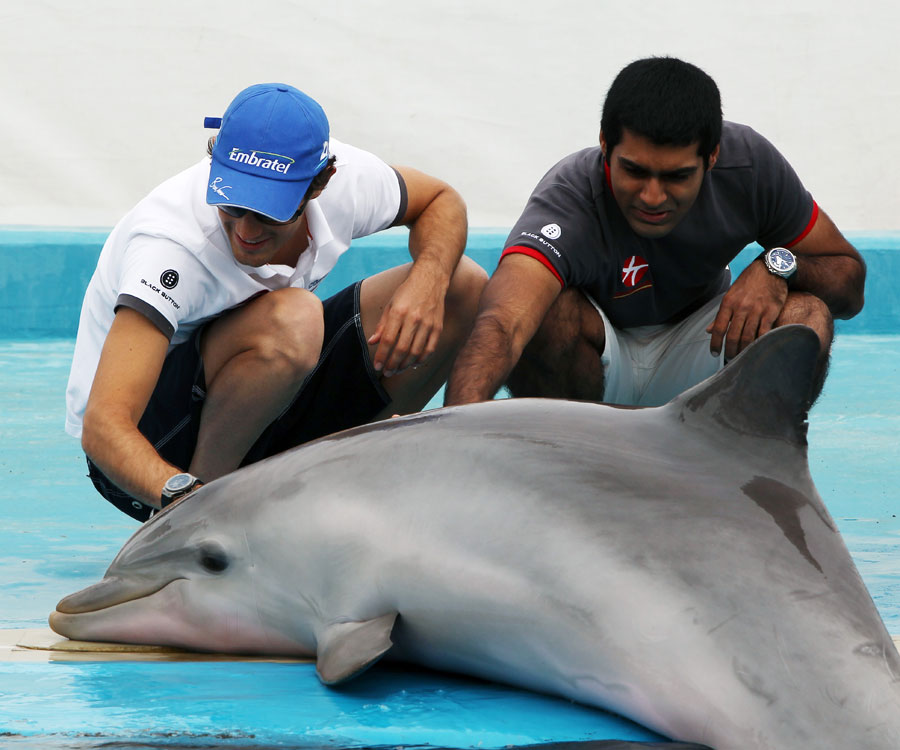 HRT drivers Bruno Senna and Karun Chandhok get up close to a dolphin at L'Oceanogràfic aquarium in Valencia