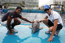 Bruno Senna and Karun Chandhok pet a dolphin at L'Oceanogràfic aquarium in Valencia