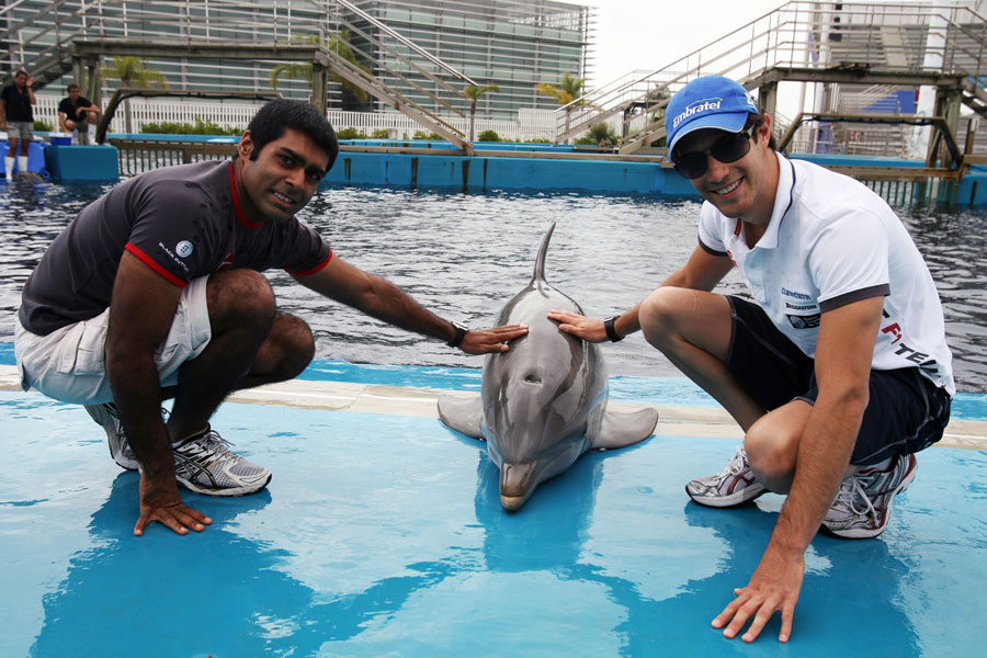 Bruno Senna and Karun Chandhok pet a dolphin at L'Oceanogràfic aquarium in Valencia