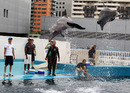 Bruno Senna and Karun Chandhok watch dolphins perform at L'Oceanogràfic aquarium in Valencia