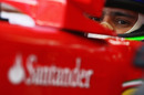 Felipe Massa in the Ferrari pits