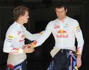 Sebastian Vettel shakes hands with team-mate Mark Webber 