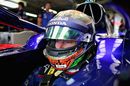Brendon Hartley looks on from the Toro Rosso cockpit