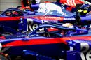Brendon Hartley and Pierre Gasly pull into parx ferme