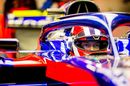 Daniil Kvyat in the cockpit of Toro Rosso STR14
