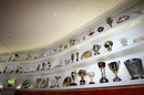 Ferrari's impressive trophy room