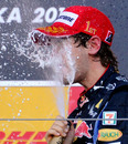 Sebastian Vettel soaks up his win