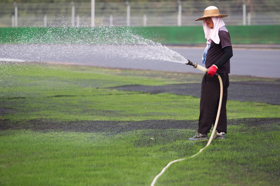 Grass surrounding the circuit is watered