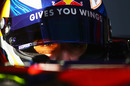Daniel Ricciardo gets ready to head out on track in the Toro Rosso