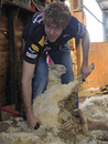 Sebastian Vettel tries his hand at sheep shearing ahead of the first race of the season